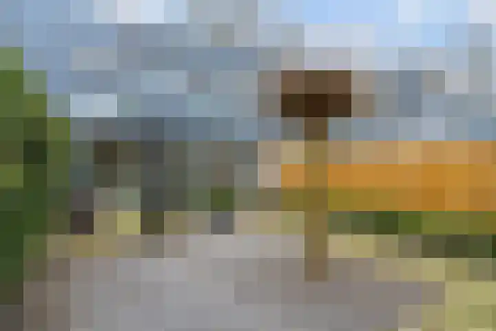 Gotenpark 62 Tilburg thumbnail 39