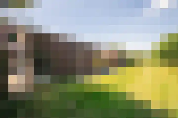 Gotenstraat 3 Sittard thumbnail 14