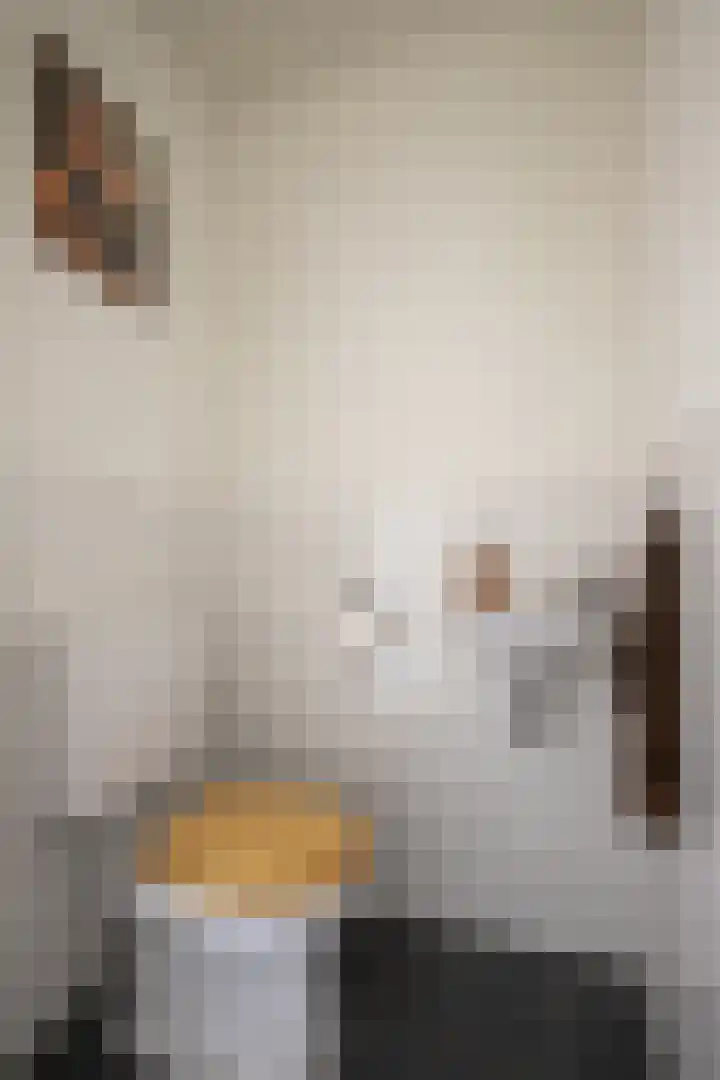 Gotenstraat 3 Sittard thumbnail 8