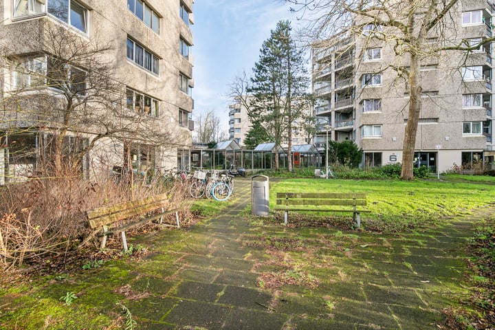 Gouden Leeuw 738 in Amsterdam foto