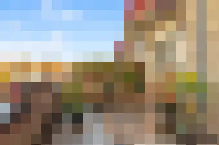Gouden Stulp 6 Castricum thumbnail 18