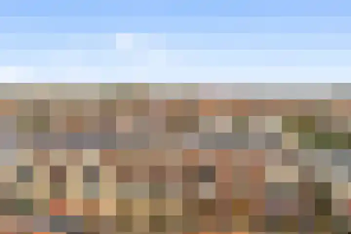 Gouden Stulp 6 Castricum thumbnail 35