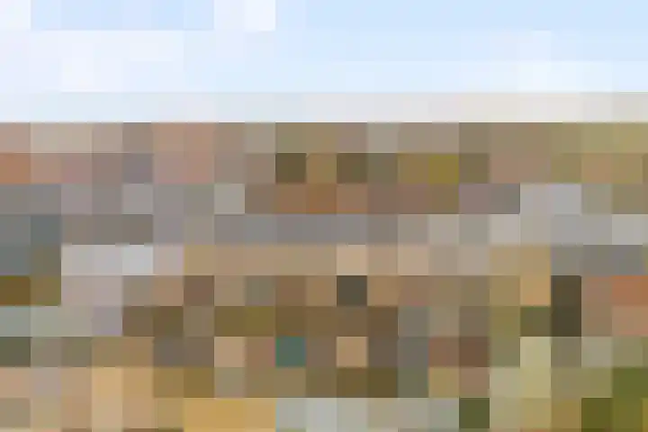 Gouden Stulp 6 Castricum thumbnail 36
