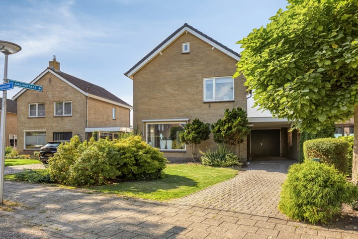 Goudenregenstraat 59 in Gramsbergen foto