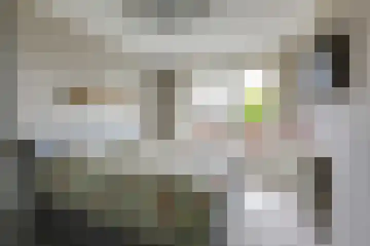 Goudensteinallee 1 Duiven thumbnail 28