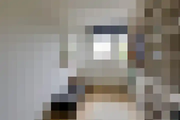 Goudensteinallee 1 Duiven thumbnail 35