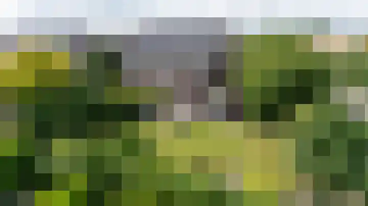 Goudensteinallee 1 Duiven thumbnail 4
