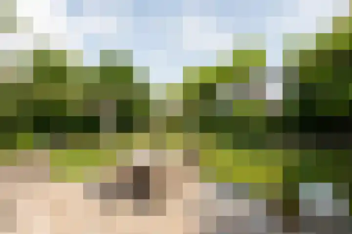 Goudensteinallee 1 Duiven thumbnail 53