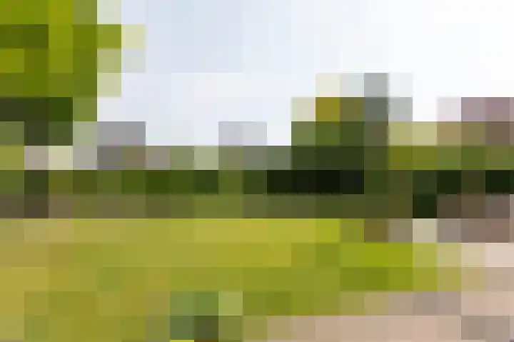 Goudensteinallee 1 Duiven thumbnail 55