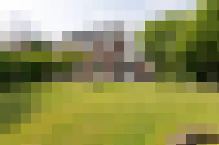 Goudensteinallee 1 Duiven thumbnail 56