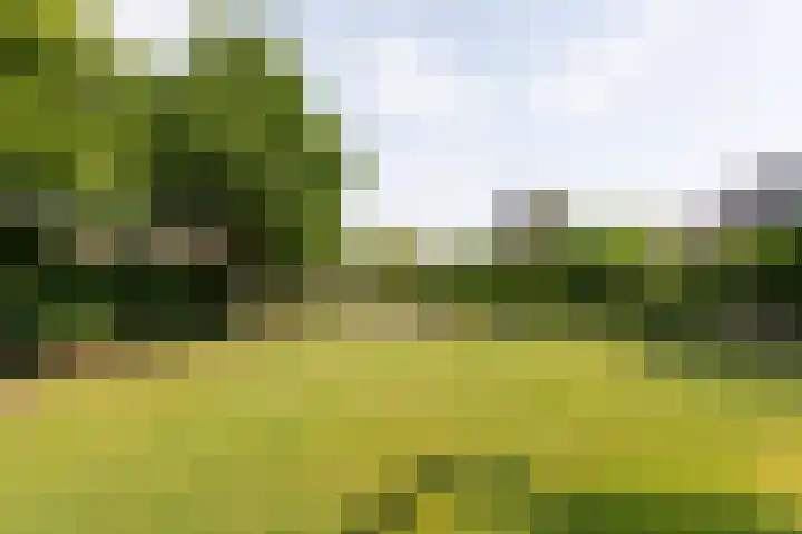 Goudensteinallee 1 Duiven thumbnail 58