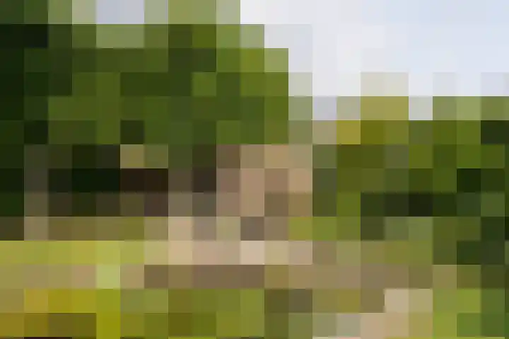 Goudensteinallee 1 Duiven thumbnail 60