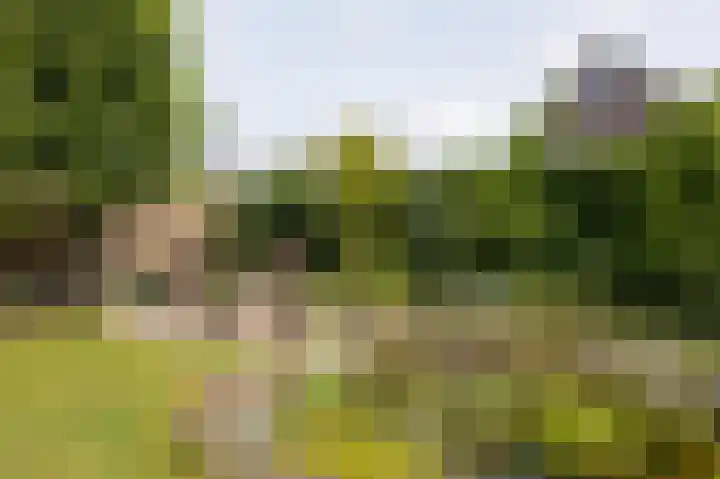 Goudensteinallee 1 Duiven thumbnail 61