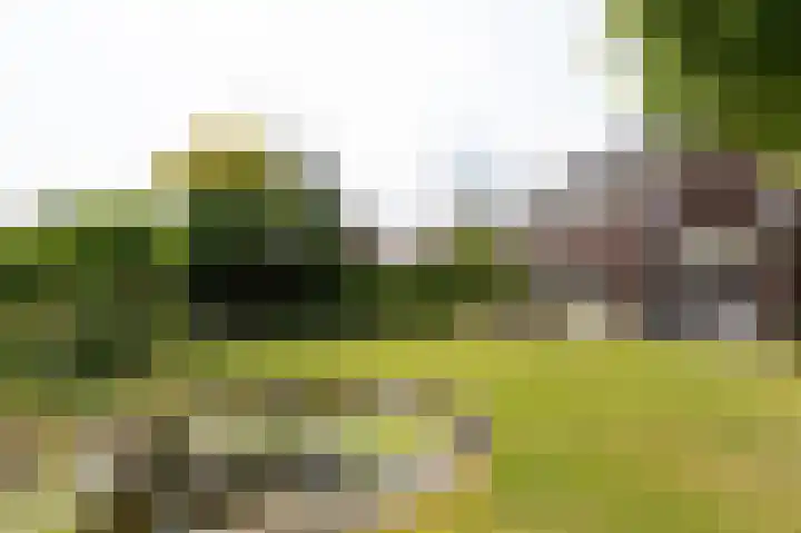 Goudensteinallee 1 Duiven thumbnail 62