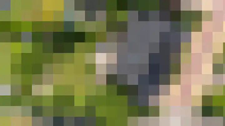 Goudensteinallee 1 Duiven thumbnail 69