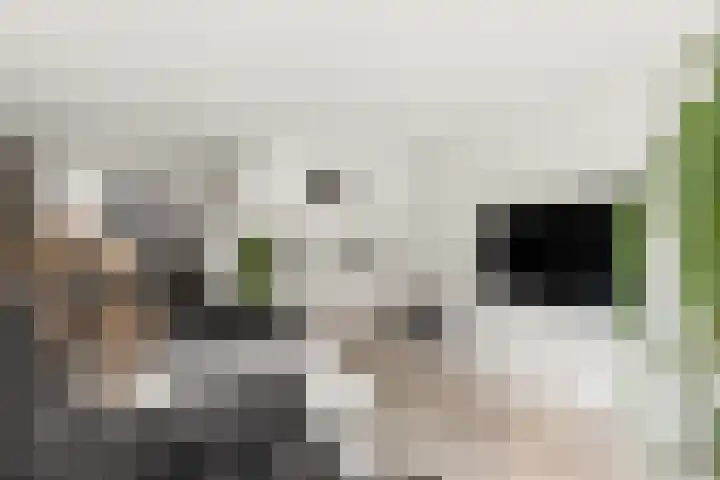 Goudhaanstraat 19 Duiven thumbnail 10