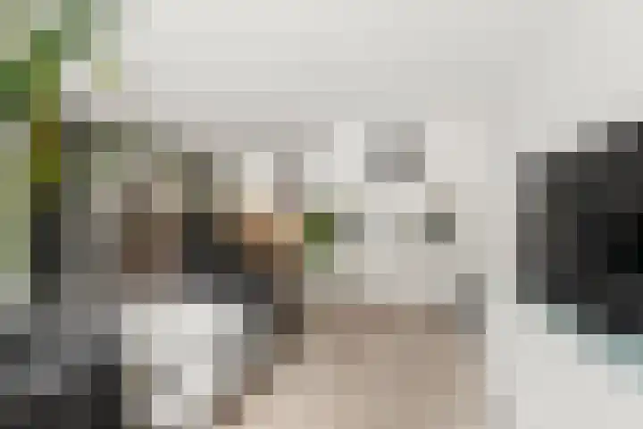Goudhaanstraat 19 Duiven thumbnail 11