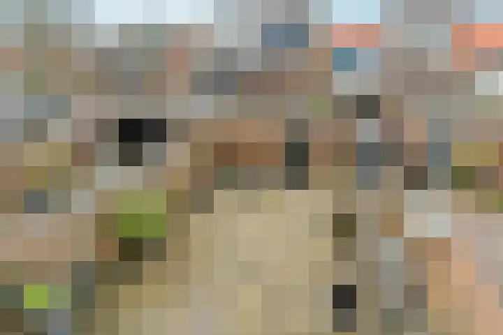 Goudhaanstraat 19 Duiven thumbnail 23