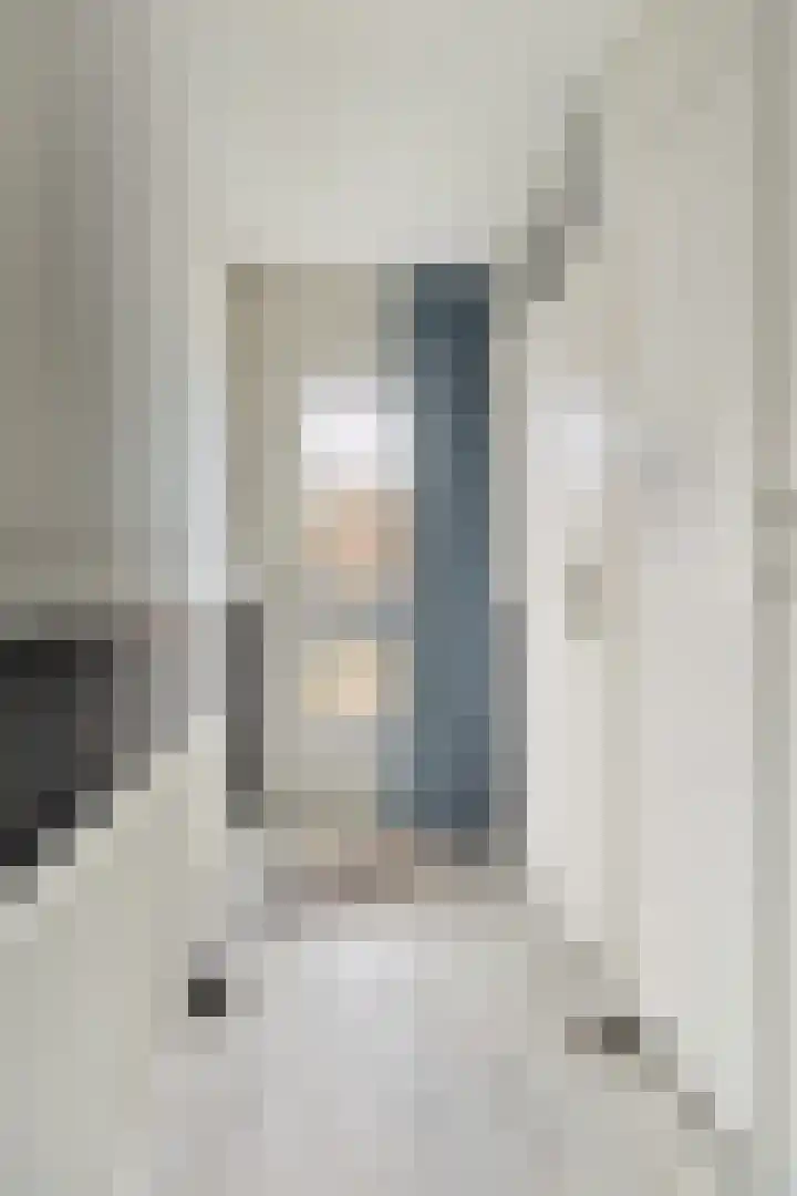 Goudhaanstraat 19 Duiven thumbnail 4
