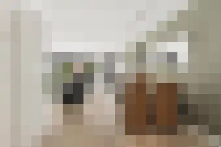 Goudhaanstraat 19 Duiven thumbnail 6