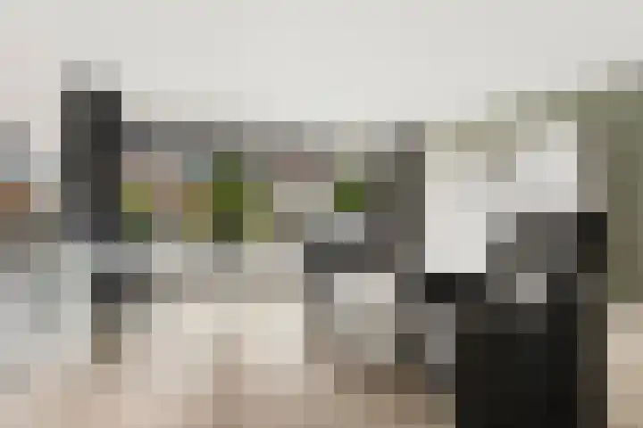 Goudhaanstraat 19 Duiven thumbnail 9