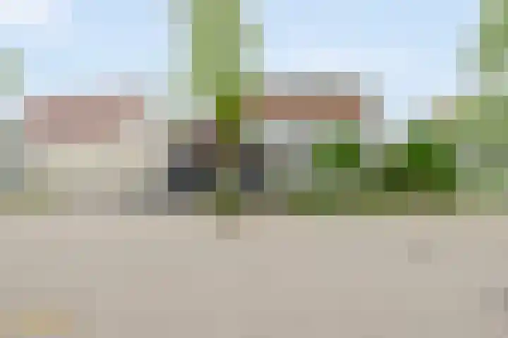 Goudhaver 5 in Steyl