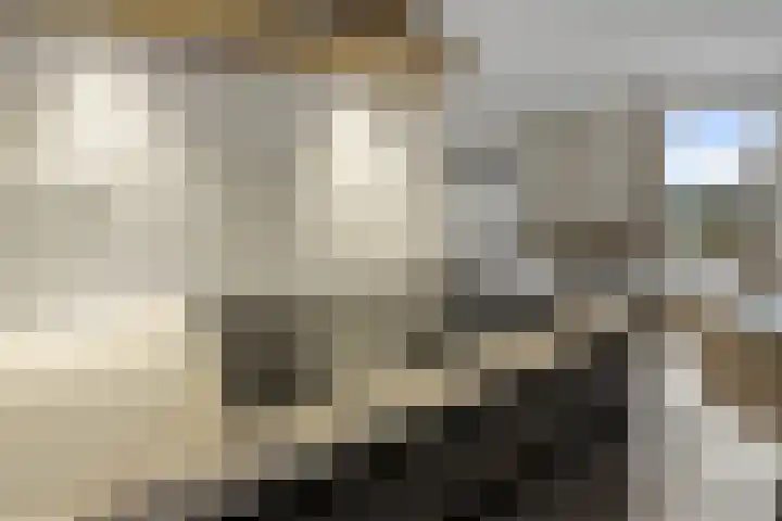 Goudkamp 105 Voorthuizen thumbnail 13
