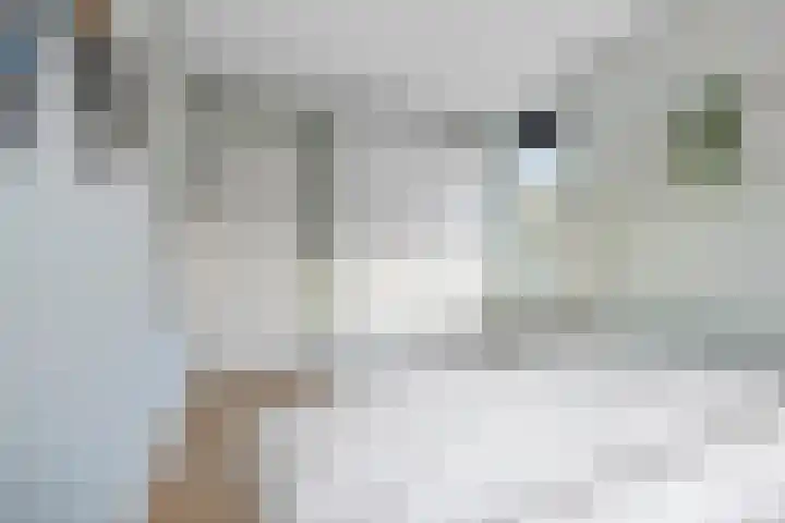 Goudkamp 105 Voorthuizen thumbnail 15