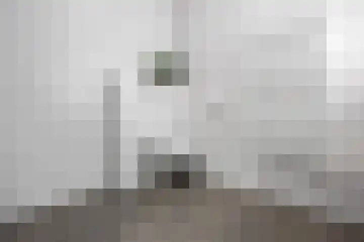 Goudkamp 105 Voorthuizen thumbnail 17