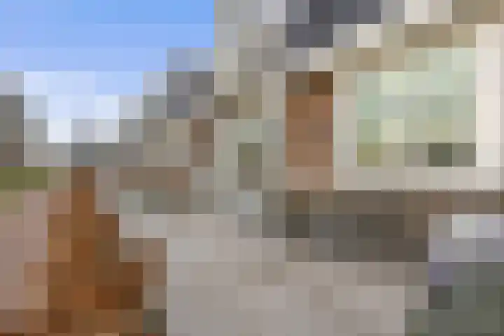 Goudkamp 105 Voorthuizen thumbnail 20