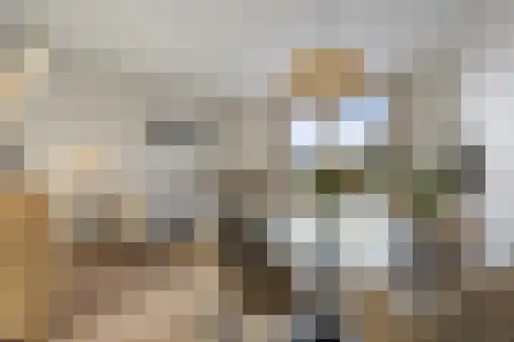 Goudkamp 105 Voorthuizen thumbnail 8