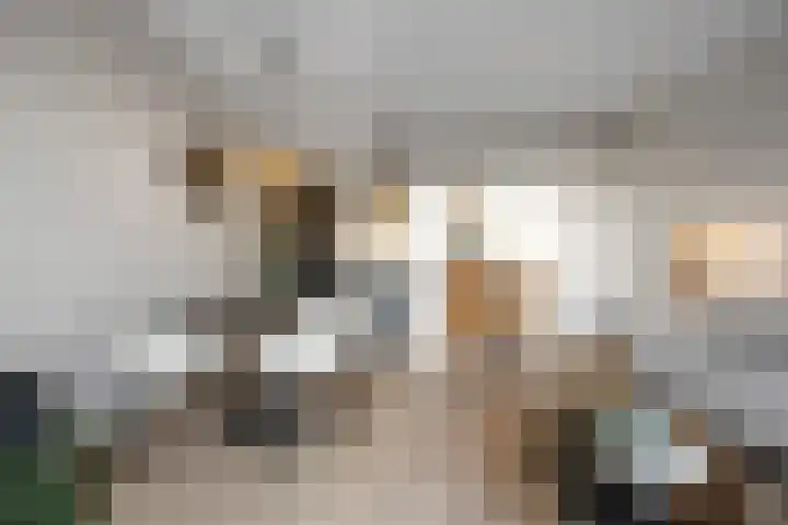 Goudkamp 105 Voorthuizen thumbnail 9