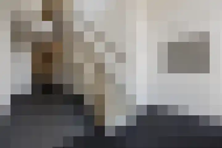 Goudkamp 121 Voorthuizen thumbnail 26