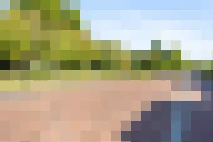 Goudkamp 121 Voorthuizen thumbnail 30