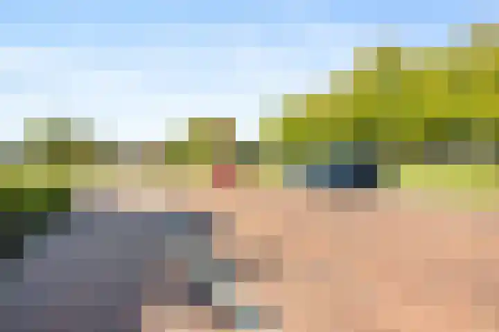 Goudkamp 121 Voorthuizen thumbnail 4