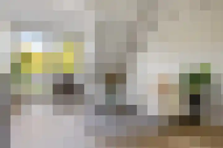 Goudkamp 121 Voorthuizen thumbnail 6