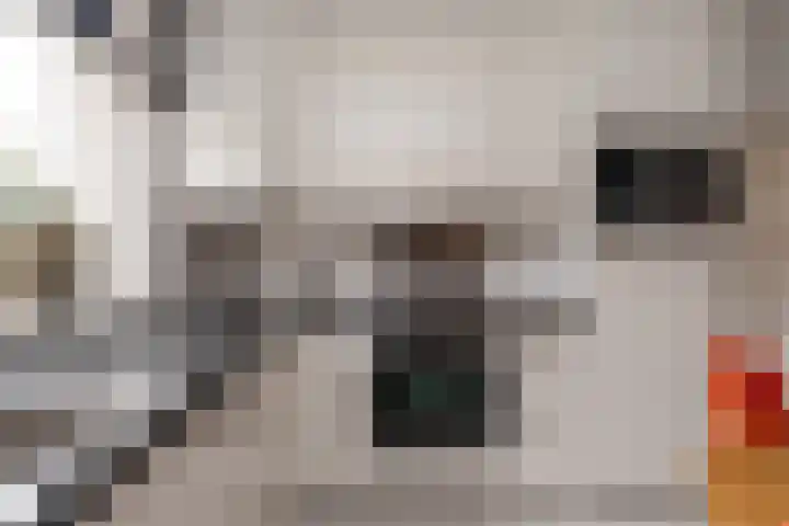 Goudlaan 3 Veendam thumbnail 17