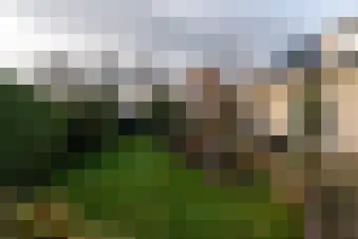 Goudlaan 3 Veendam thumbnail 45