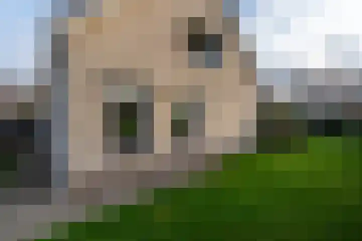 Goudlaan 3 Veendam thumbnail 51