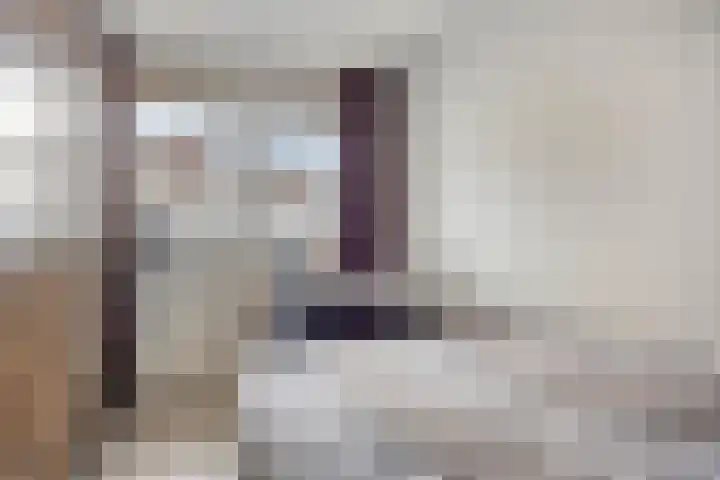 Goudmijnhof 126 Oss thumbnail 11