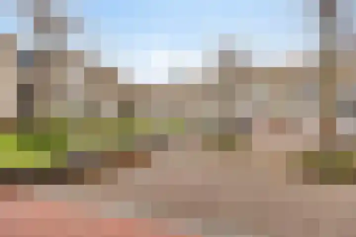Goudmijnhof 126 Oss thumbnail 22