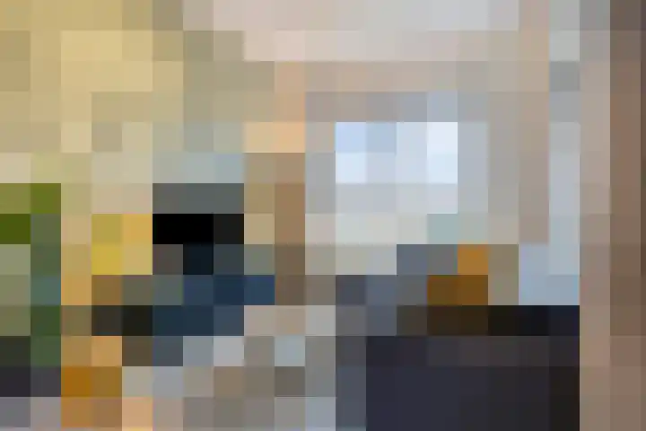 Goudmijnhof 184 Oss thumbnail 11