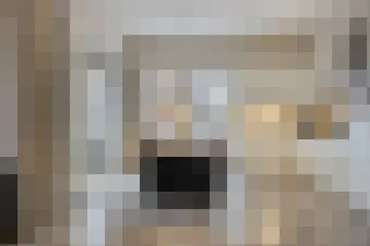 Goudmijnhof 184 Oss thumbnail 16