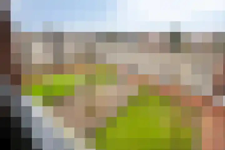 Goudmijnhof 184 Oss thumbnail 23