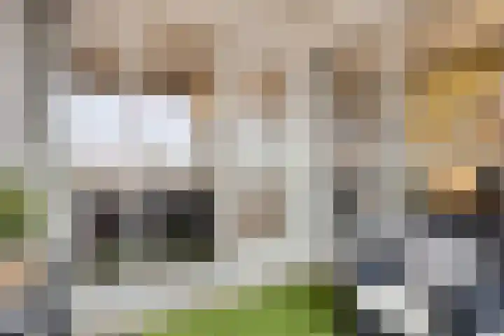 Goudmijnhof 184 Oss thumbnail 24