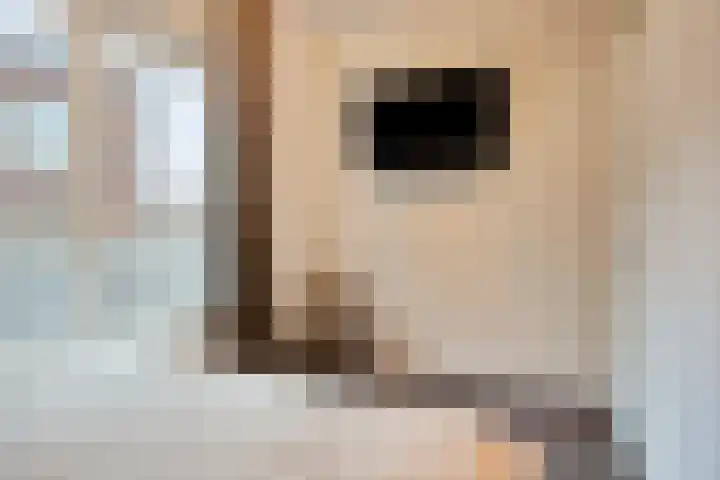 Goudmijnhof 184 Oss thumbnail 27