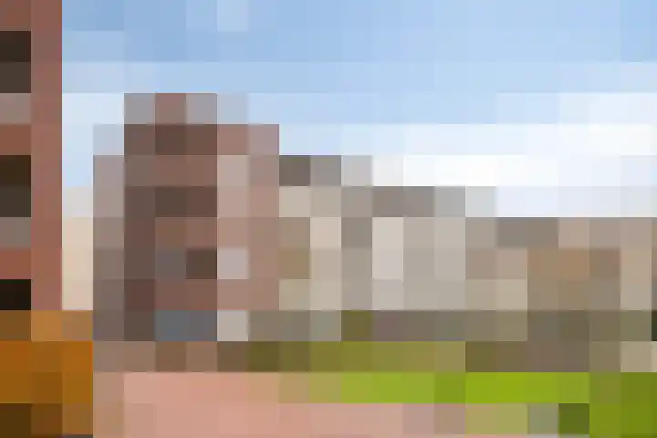 Goudmijnhof 184 Oss thumbnail 34