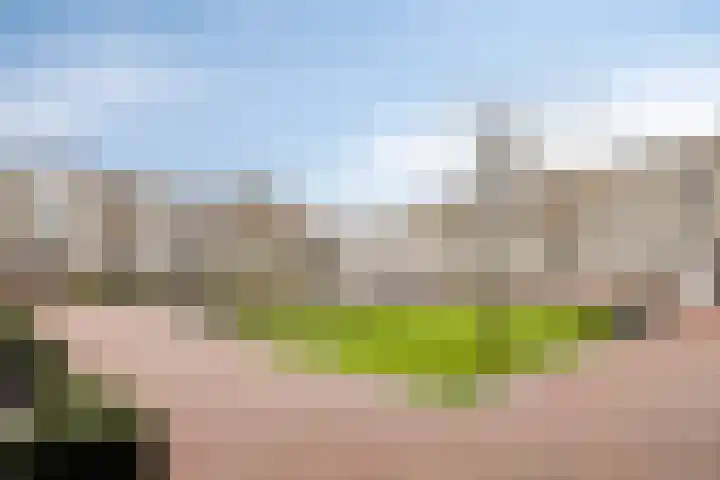 Goudmijnhof 184 Oss thumbnail 35