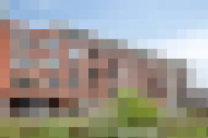 Goudmijnhof 58 Oss
