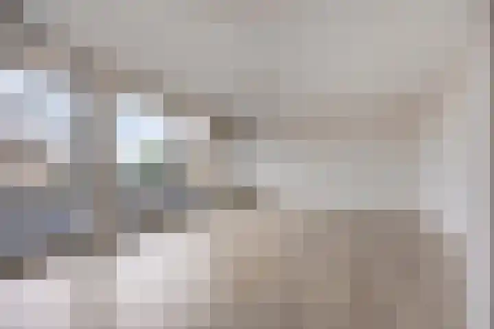 Goudmijnhof 58 Oss thumbnail 13